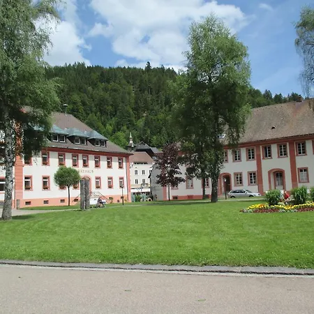 Blaues Haus Bed & Breakfast St. Blasien
